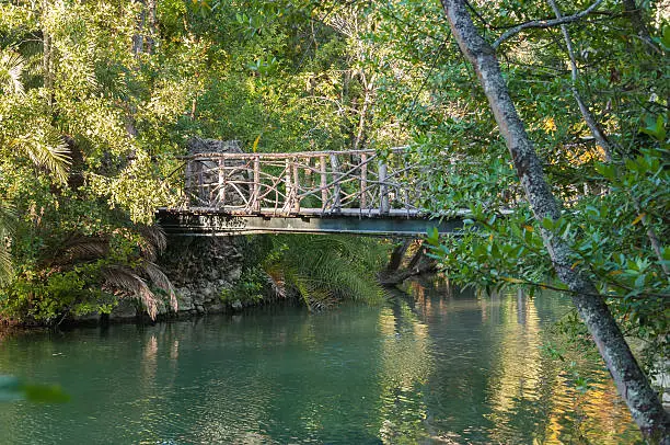 Lake and wooden bridge in Curia park in Portugal