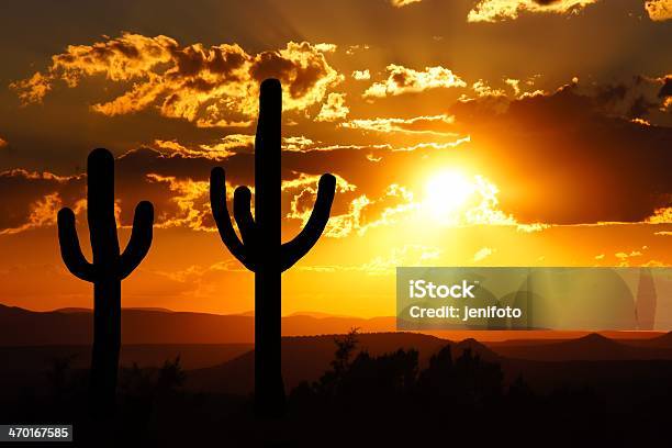 Cato De Carnegia Gigantea Deserto Ao Pôr Do Sol Com Uma Silhueta Arizona Eua - Fotografias de stock e mais imagens de Cato de carnegia gigantea