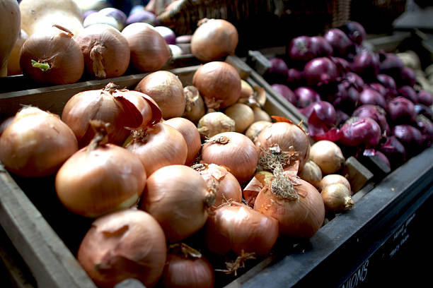 Red and white onions in the market
