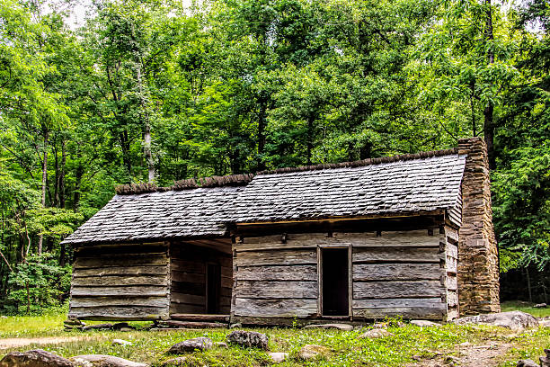 istock Log Cabin in the Woods 470169009