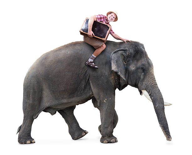 istock happy tourist rides on an elephant 470169152