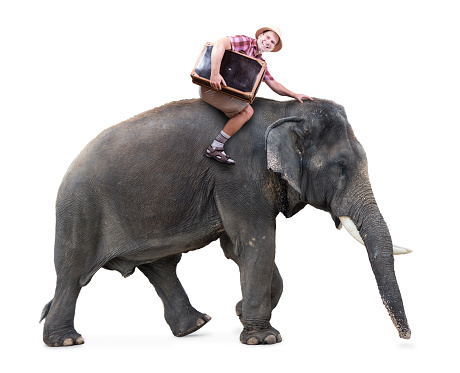 cheerful tourist rides on an elephant carrying a suitcase