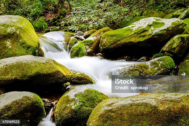Fiume Roaring Fork - Fotografie stock e altre immagini di Acqua - Acqua, Acqua fluente, Ambientazione esterna