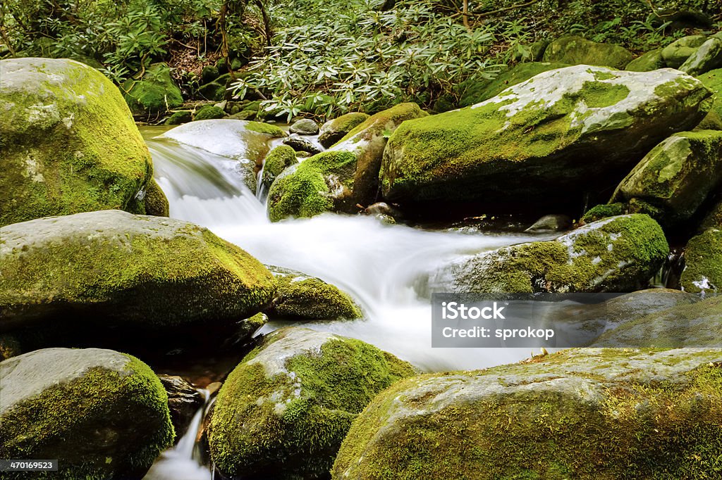 Roaring Fork River Roaring Fork is a stream in the Great Smoky Mountains of Tennessee.  This river has moss covered rocks with the thick green forest that is tranquil and relaxing. Appalachia Stock Photo