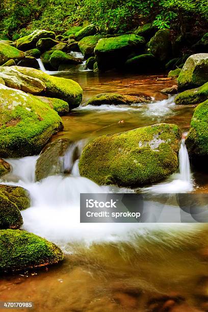 Photo libre de droit de Rivière Roaring Fork banque d'images et plus d'images libres de droit de Appalaches - Appalaches, Bois, Caillou