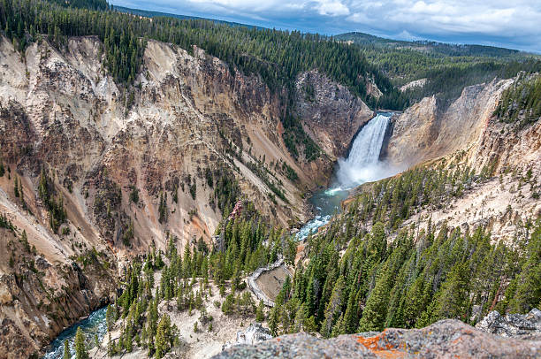 vista completa das cataratas de lower yellowstone - yellowstone national park wyoming american culture landscape imagens e fotografias de stock