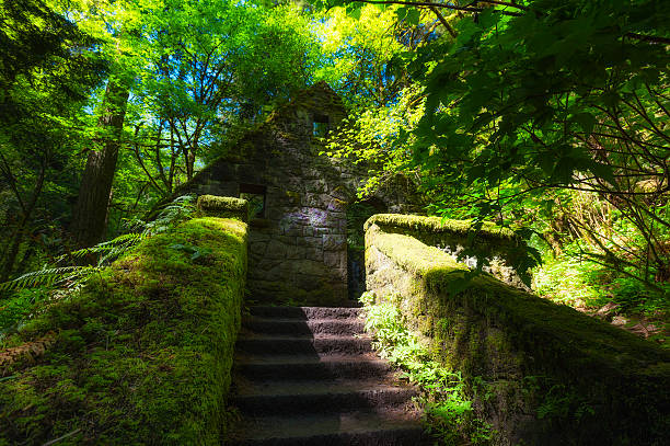 istock Abandoned Stone restroom building fron the 1930's 470173718