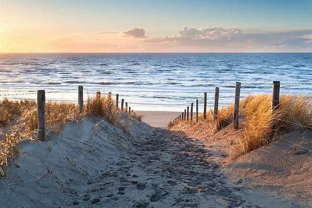 istock A path leading out to the North Sea coast at sunset  470174334