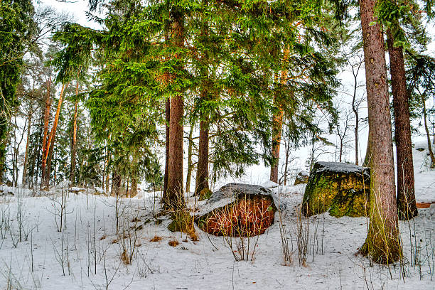 Mon repos Park Vyborg Russia winter landscape landmark top view