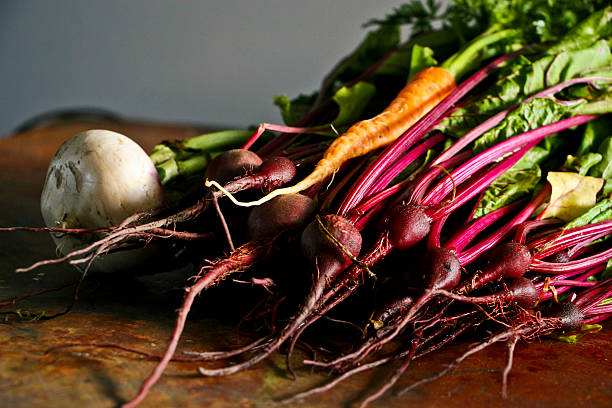 Fresh harvest of root vegetables