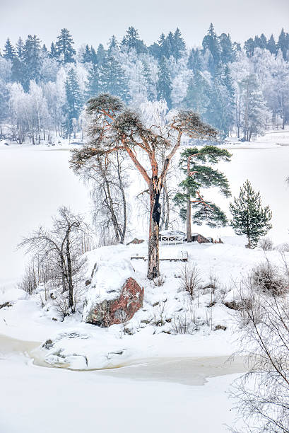 istock Mon repos Park Vyborg Russia 470174674