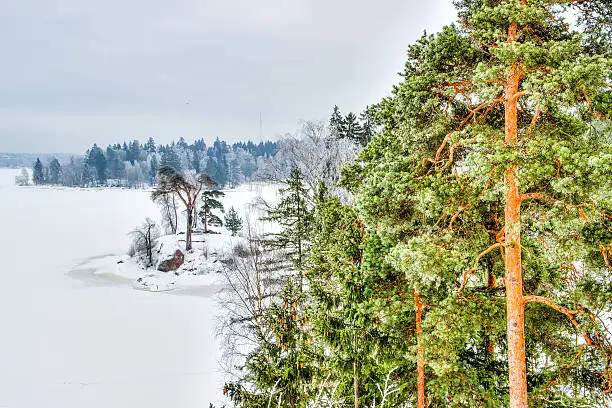 Mon repos Park Vyborg Russia winter landscape landmark top view