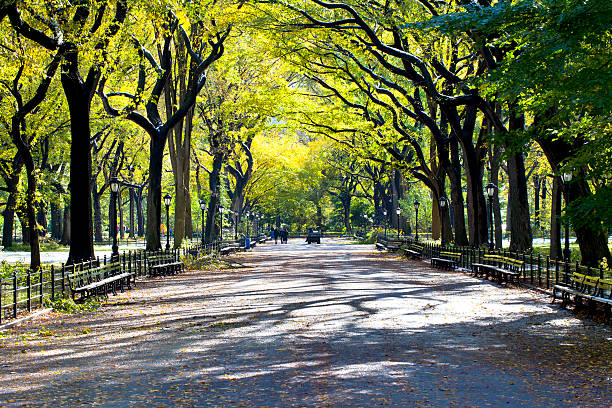 istock New York City, Central Park 470176139