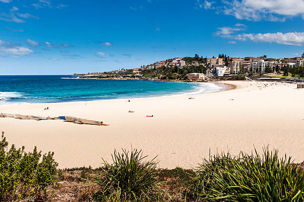 Coogee Beach stock photo