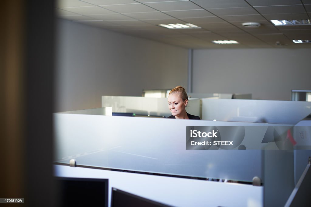She's willing to work for her success Cropped shot of an attractive young woman standing in her office cubiclehttp://195.154.178.81/DATA/i_collage/pu/shoots/791272.jpg Businesswoman Stock Photo