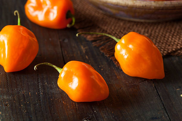 istock Raw Organic Orange Habanero Peppers 470181492