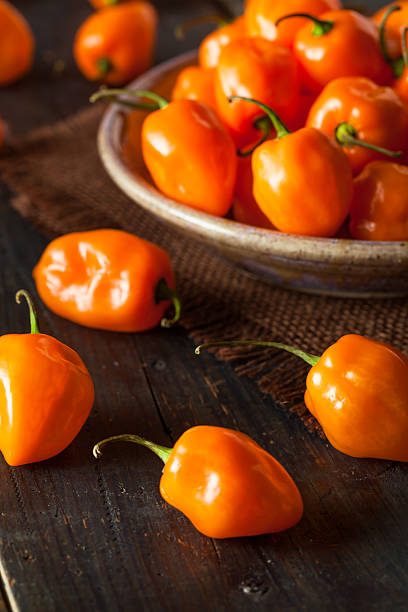 istock Raw Organic Orange Habanero Peppers 470181632