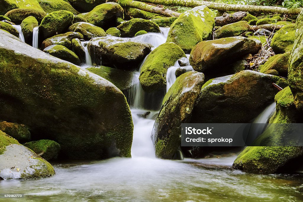 Roaring Fork River - Lizenzfrei Abgeschiedenheit Stock-Foto