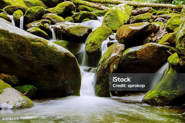 Roaring Fork River Stockfoto und mehr Bilder von Abgeschiedenheit - Abgeschiedenheit, Appalachen-Region, Appalachen-Wanderweg