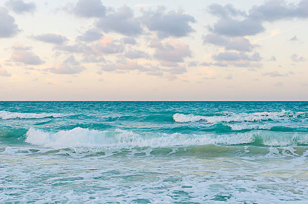 Shore of Cayo Santa Maria, Cuba