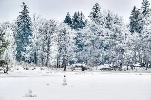 Mon repos Park Vyborg Russia winter landscape landmark top view