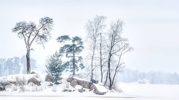 Mon repos Park Vyborg Russia
