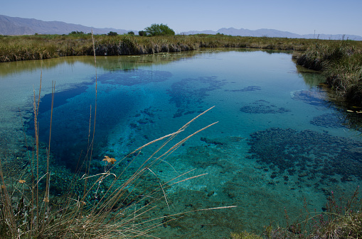 Poza Azul Cuatro Cienegas