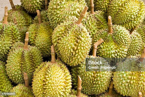 Duriandelicious Tropical Fruit In Fruit Stall Thailand Stock Photo - Download Image Now