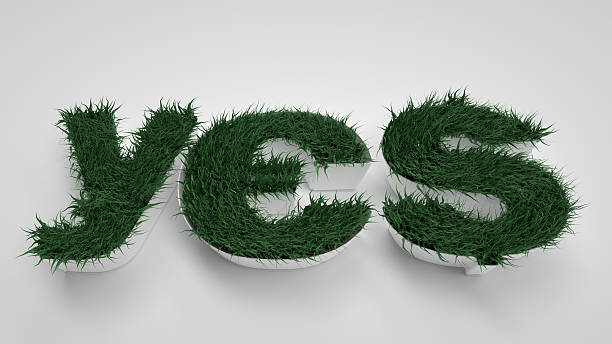 istock YES letters. Spring, flowers and grass. Path included 470193274