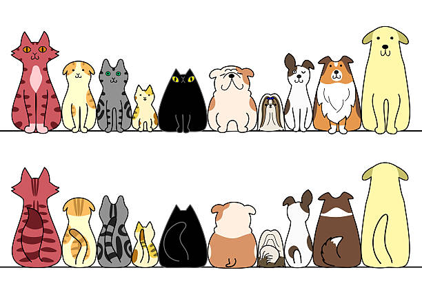 illustrations, cliparts, dessins animés et icônes de les chiens et les chats dans une rangée avec espace pour copie - éleveur