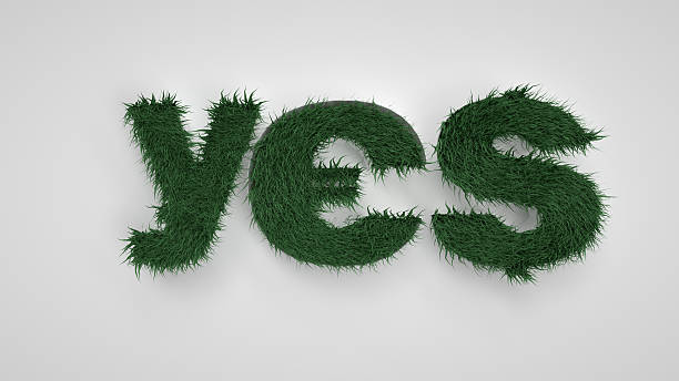 istock YES letters. Spring, flowers and grass. Path included 470195578