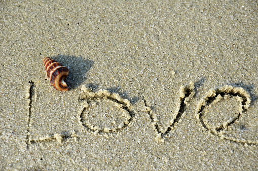 Written love word on the beach. a shell is on the top of the word