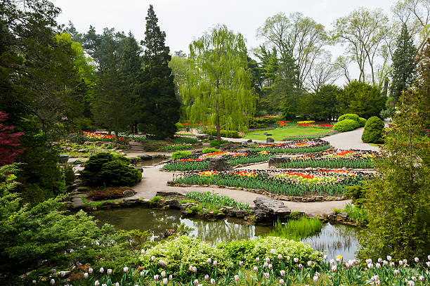 nebbia intorno al giardino di primavera - landscaped spring canada footpath foto e immagini stock