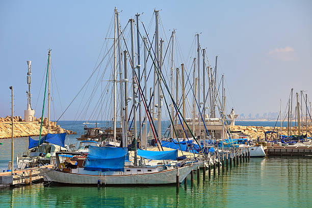 White motorboats reflecting in water, wooden pier, marina of Larnaca in bright sunshine day, Cyprus