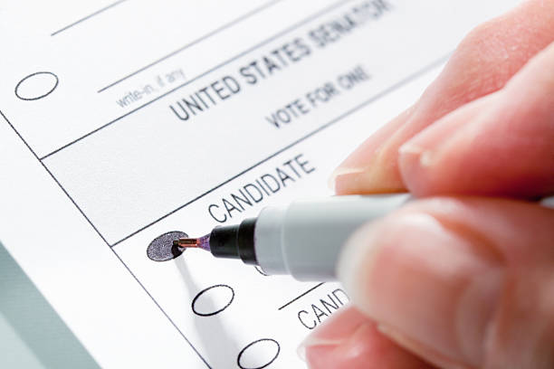 Voting Ballot for United States Senators Election, Hand Writing Choice stock photo