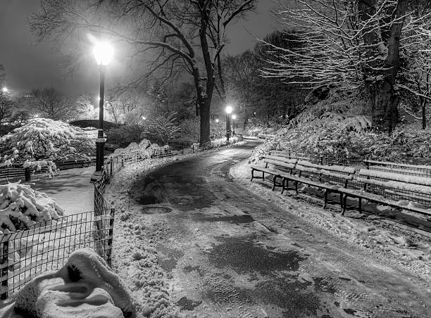 istock Gapstow bridge Central Park, New York City 470198070