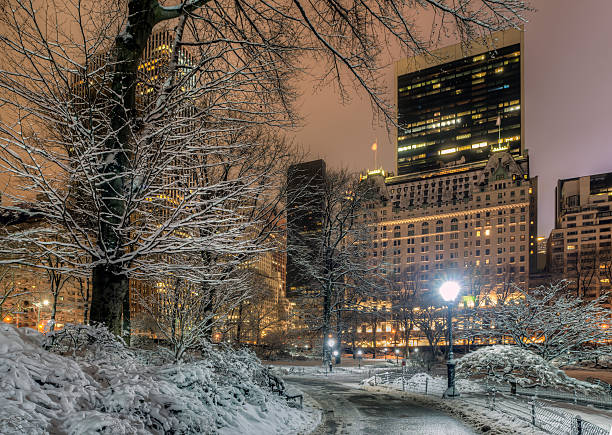 istock Central Park, New York City 470198274