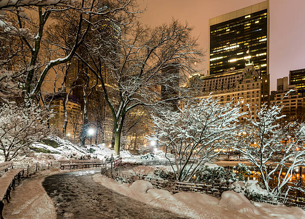 istock Central Park, New York City 470198278