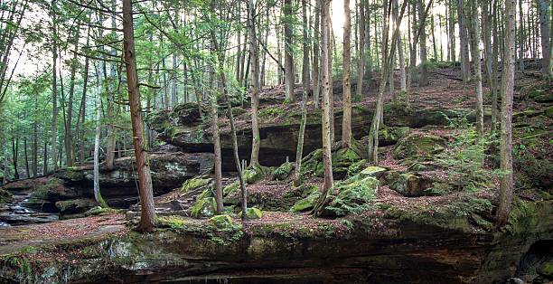 istock Hemlocks In Hocking Hills State Park Ohio 470198482