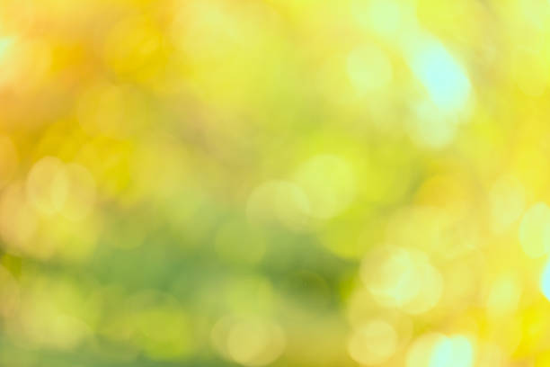 istock Vintage bokeh of nature background 470200752