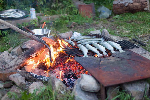 cooking fish on a campfire cooking a delicious fresh trout at an open campfire place forelle pear stock pictures, royalty-free photos & images