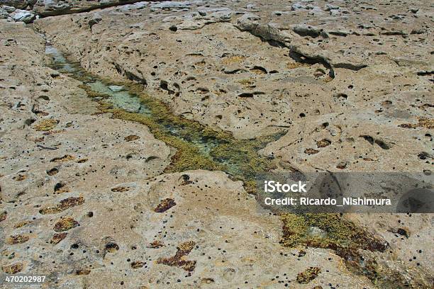 Parque Nacional Da Baía De Jervis - Fotografias de stock e mais imagens de Ajardinado - Ajardinado, Capitais internacionais, Cubo de gelo