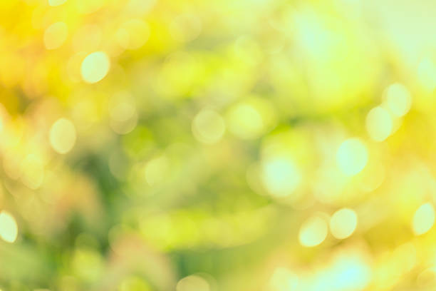 istock Vintage bokeh of nature background 470204114