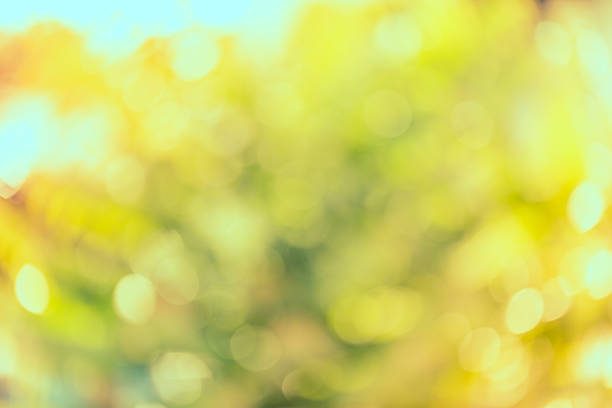 istock Vintage bokeh of nature background 470204476