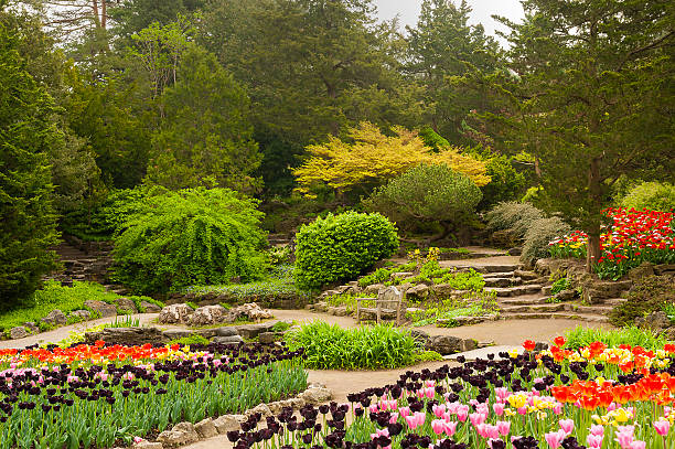Flower beds in park