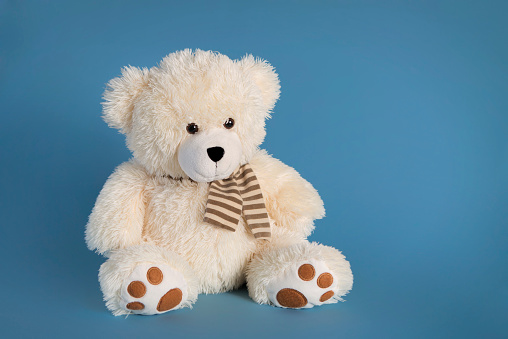 Fluffy Teddy Bear Toy On A Blue Background Stock Photo - Download Image Now  - 2015, Animal Body Part, Animal Hair - iStock