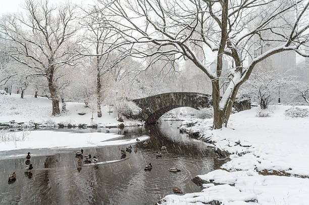 istock Gapstow bridge Central Park, New York City 470205618