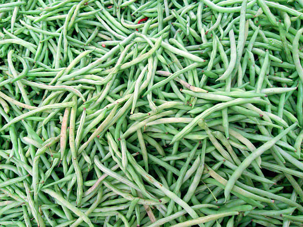 Long beans stock photo