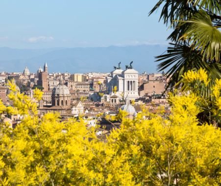 Roman citscape panorama with Mimosa in February, Rome Italy
