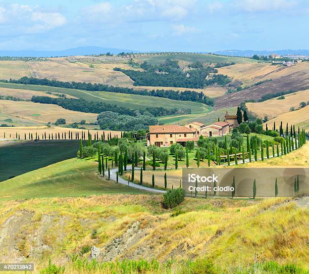 Crete Senesi Stock Photo - Download Image Now - 2015, Agricultural Field, Agriculture